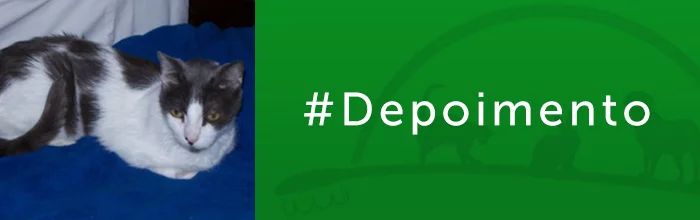 Depoimento Paxá gato doença boca
