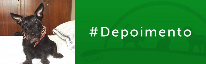 depoimento Ulle atendimento odontovet