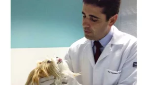 Cuidados com meu Pet