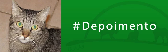 depoimento
