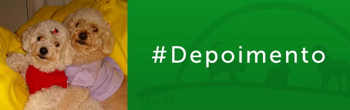 depoimento