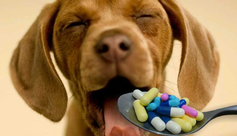 Remédio para os pets