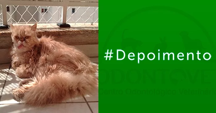 Cirurgia Oncológica