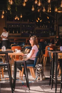 Restaurantes e locais pet friendly