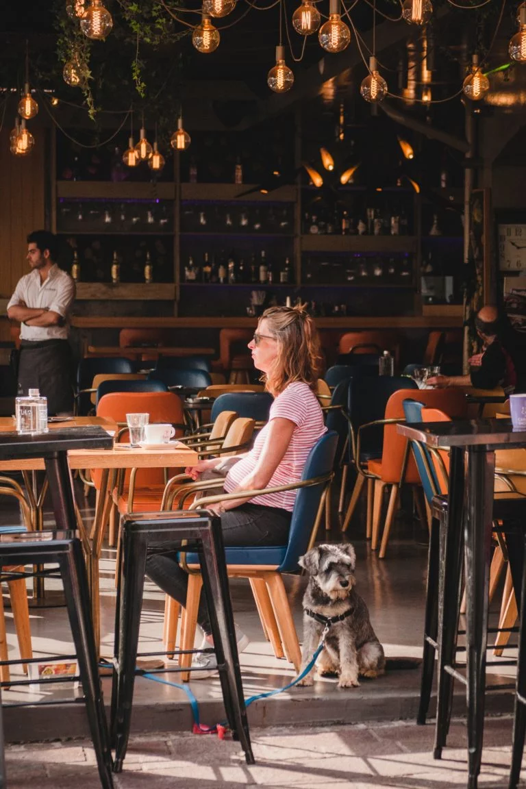 Restaurantes e locais pet friendly