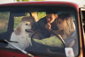 Viajar com o pet